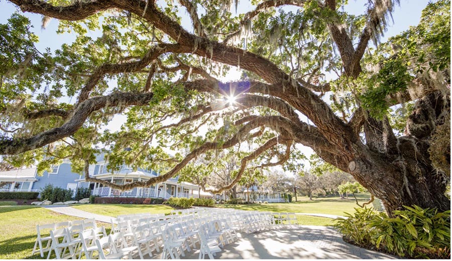 outdoor wedding seating arrangement under large oak tree by the Highland Manor