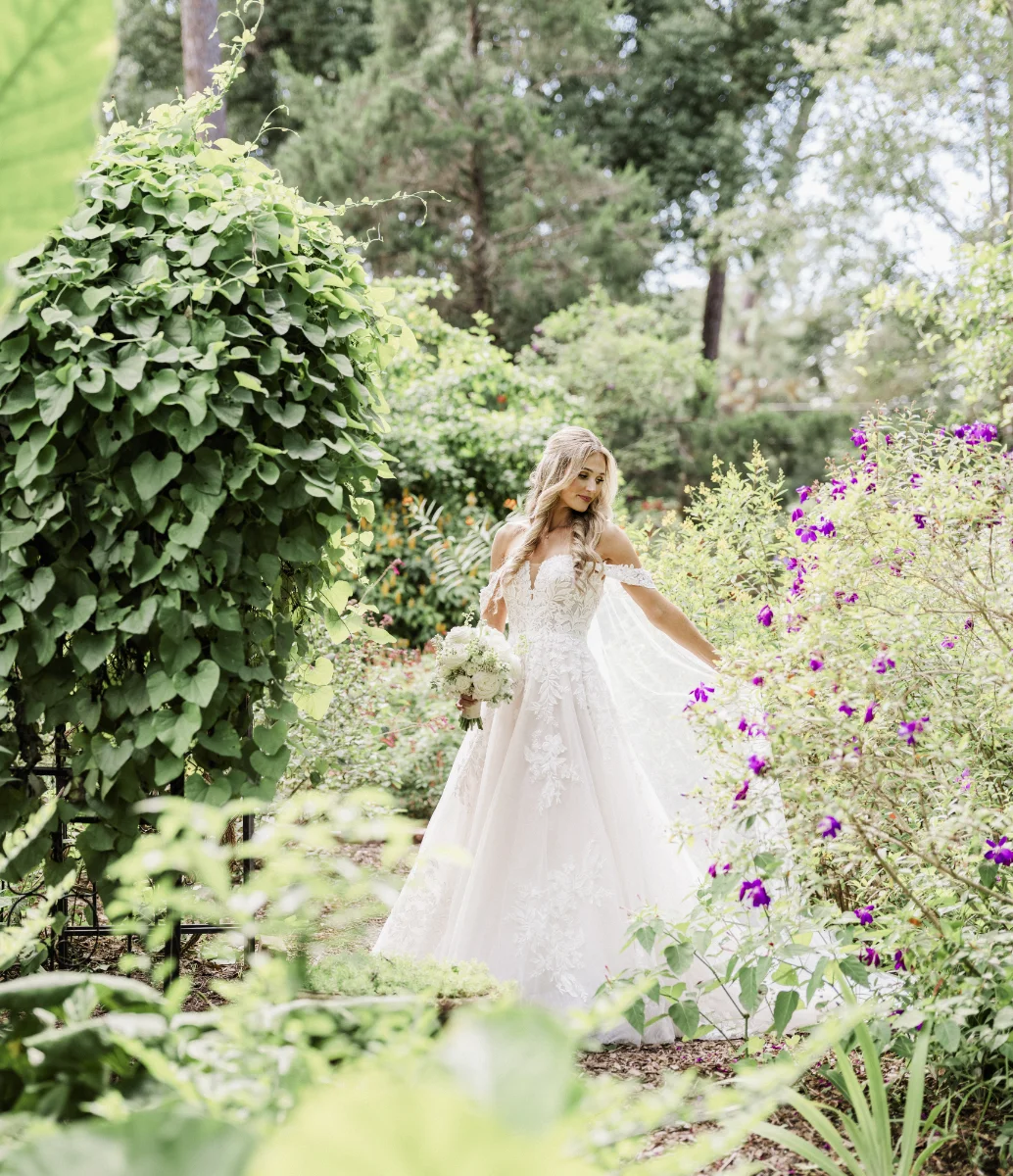 Azalea Bride in outside Gardens