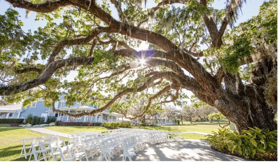 Highland Manor outdoor wedding venue under large oak tree