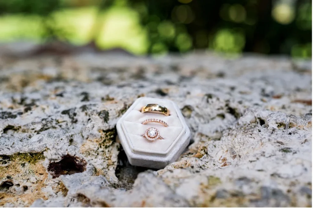 picture of the rings