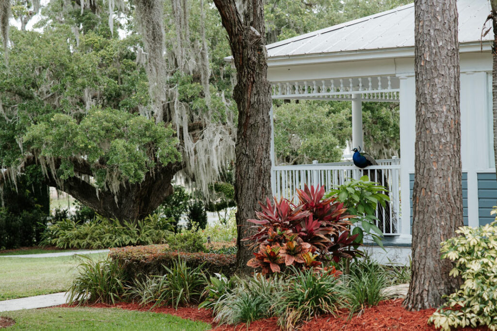 scenic view of verandah before a small wedding