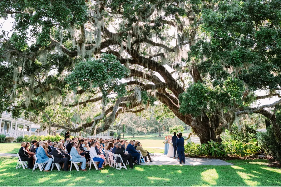 wedding ceremony taking place under the large oak tree of the Highland Manor Florida